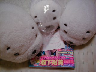 S}RCO