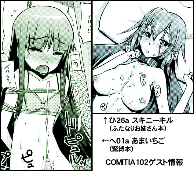 COMITIA102$B%2%9%H9pCN(B