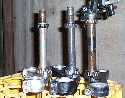 3stem1.jpg