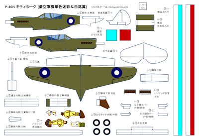 P40N_RAAF_white_PDF_img