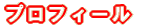 �v���t�B�[���@