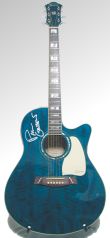 Ibaneze PGA1000 MB