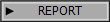REPORT