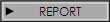 REPORT