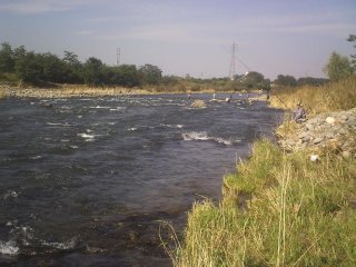 多摩川 河辺