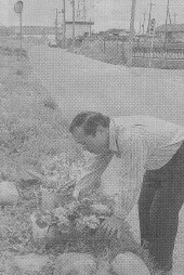 新聞に載った写真