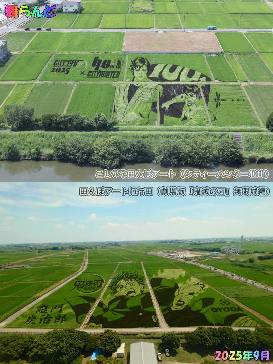 実りの秋(越谷市&行田市の田んぼアート)